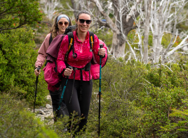 W Trek: the first tourism program in Chile to certify its carbon footprint