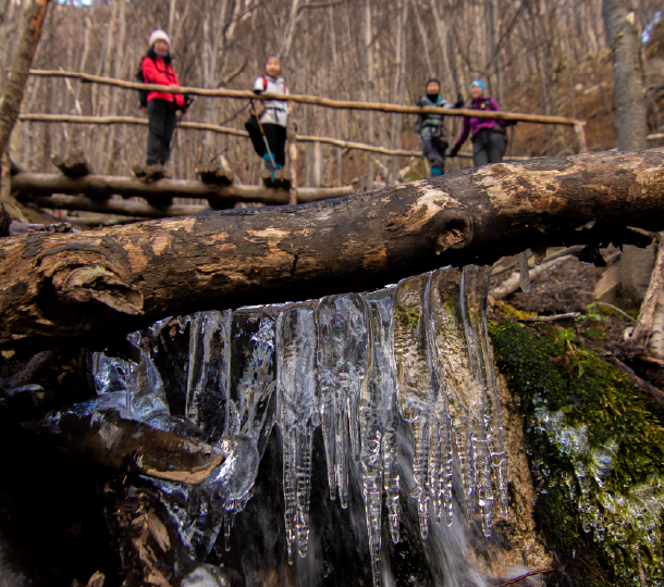 A trip that surpassed our expectations