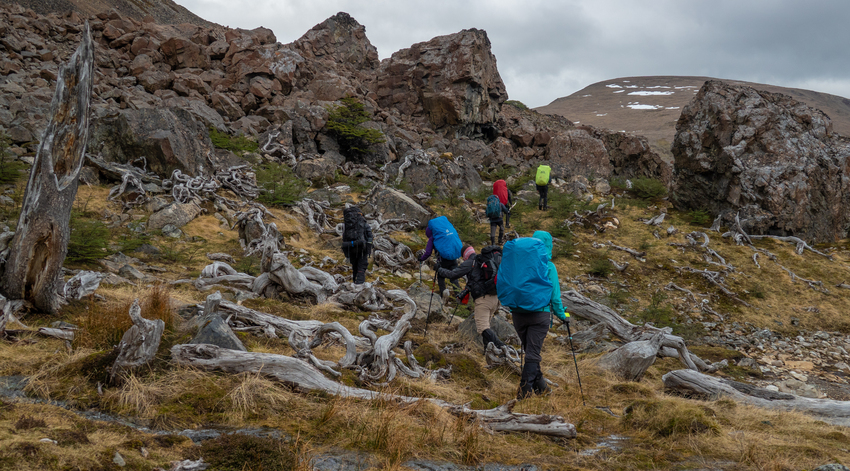 Day 3 - Ascent at Laguna Martillo