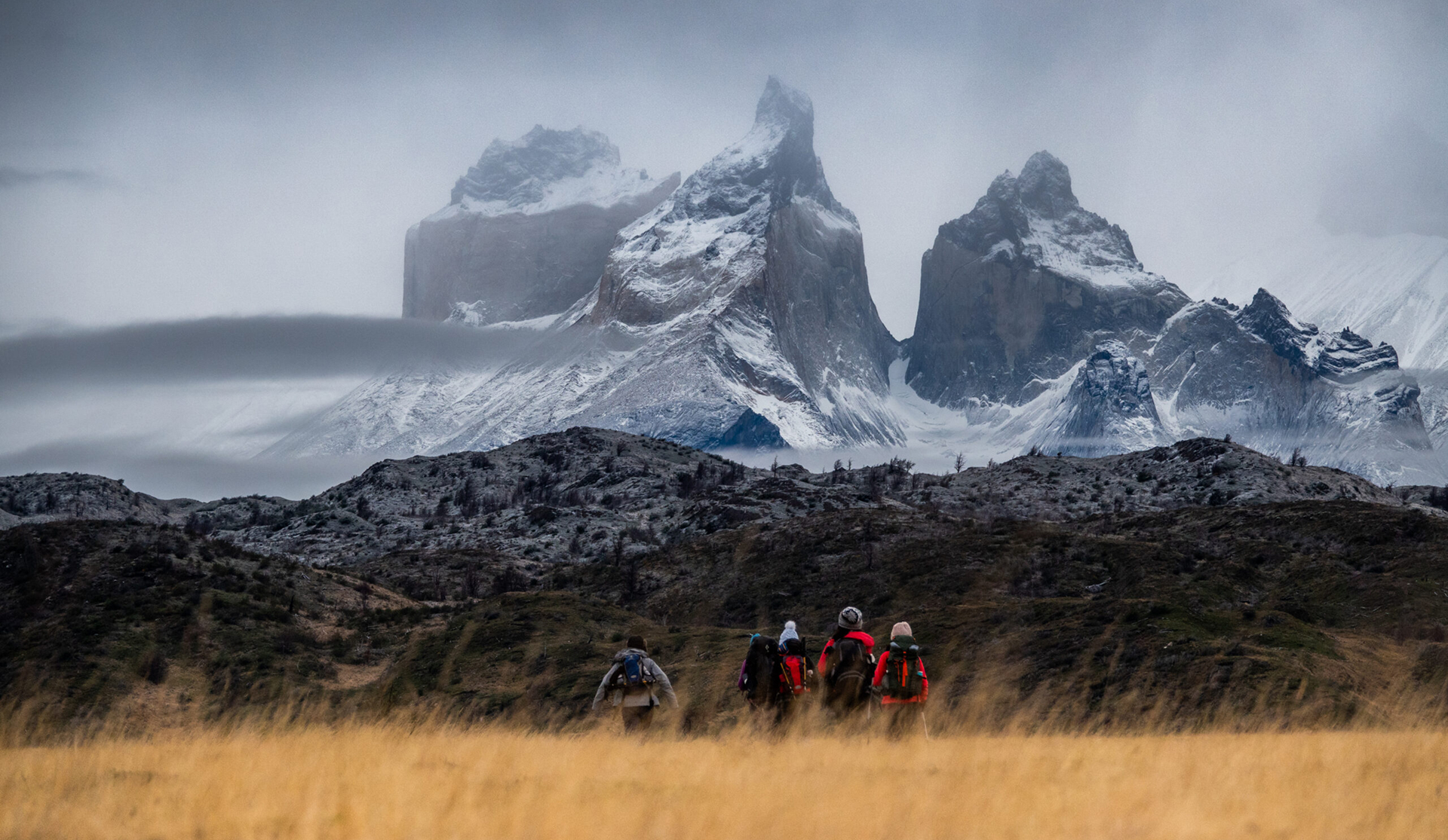 chile nativo