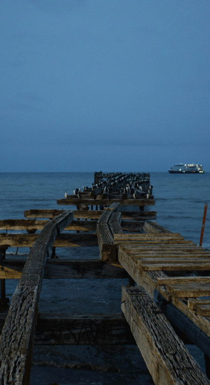 Punta Arenas