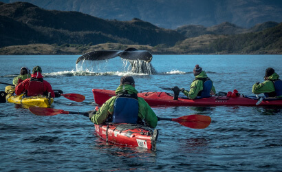 Kayaking in Cape Froward
