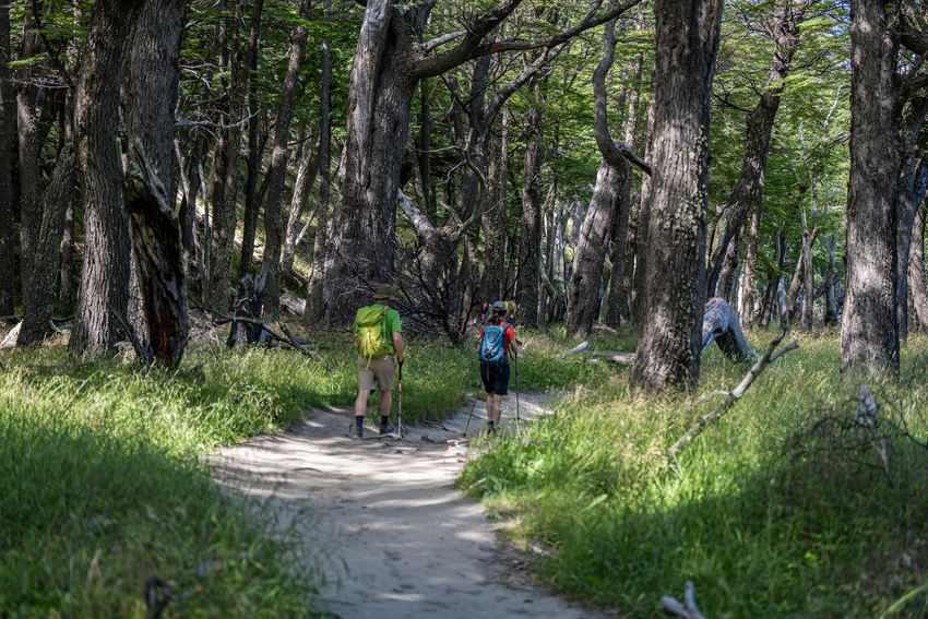 Day 3 - Hike to Laguna Torre