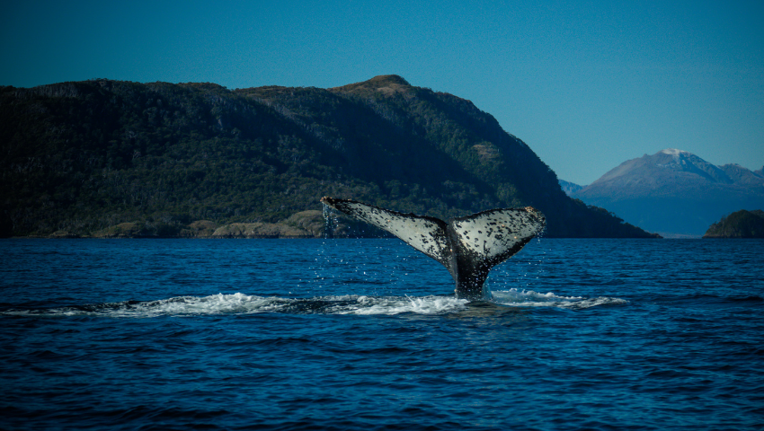 Day 3 - Through the Strait of Magellan