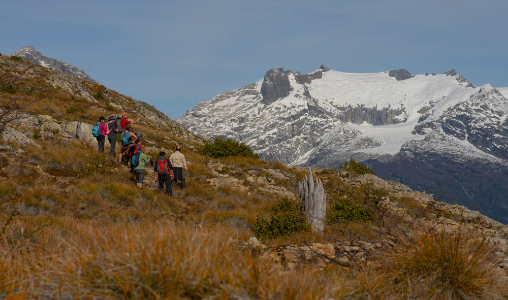 Day 2 - Round trip trekking to the Ventisquero Valley