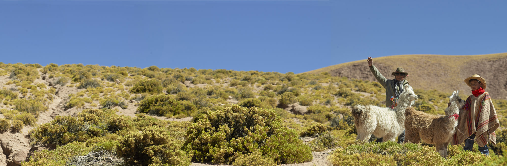 Cerro Toco Ascent